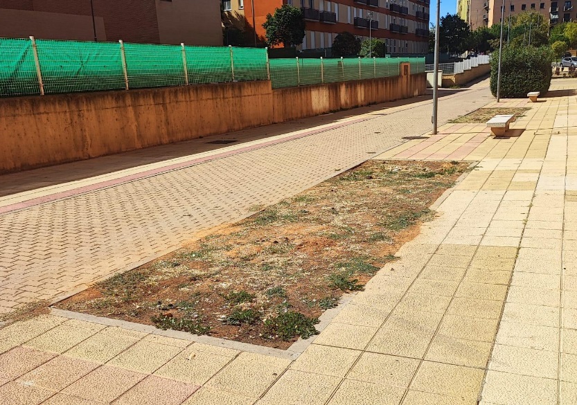 Parterre Vac&iacute;o En El Barrio De Los Alcaldes