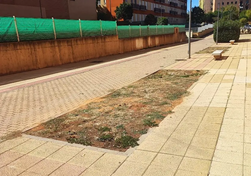 Parterre Vacío En El Barrio De Los Alcaldes