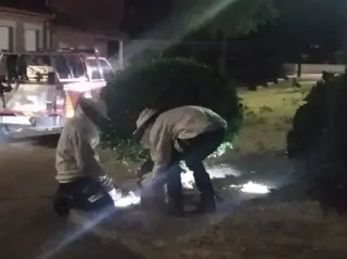 Bomberos del parque comarcal de Peñaranda retirando un enjambre en El Campo