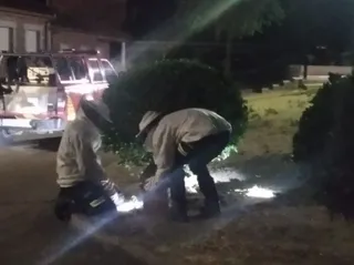 Bomberos del parque comarcal de Peñaranda retirando un enjambre en El Campo