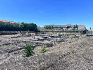 El Botánico