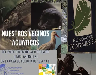 Exposición de animales acuáticos