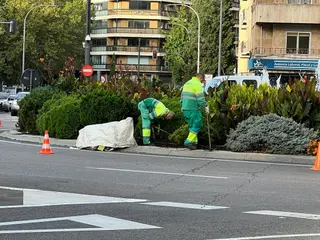 Jardineros trabajando en Salamanca, en la puerta de Zamora. Foto S24H