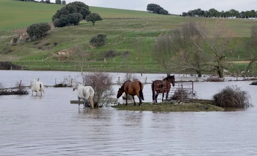 David Arranz. / ICAL. Las fuertes lluvias caídas en la provincia de Salamanca, en Golpejas, dejan inundaciones en pueblos y campos de cultivo