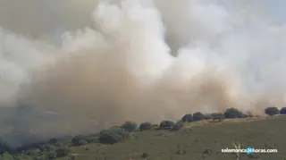 Incendio Lagunilla (3)