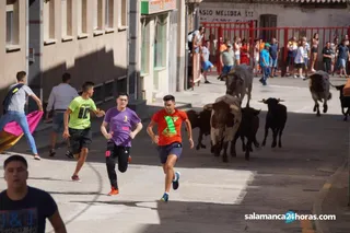 Encierros de Alba de Tormes (23) portada