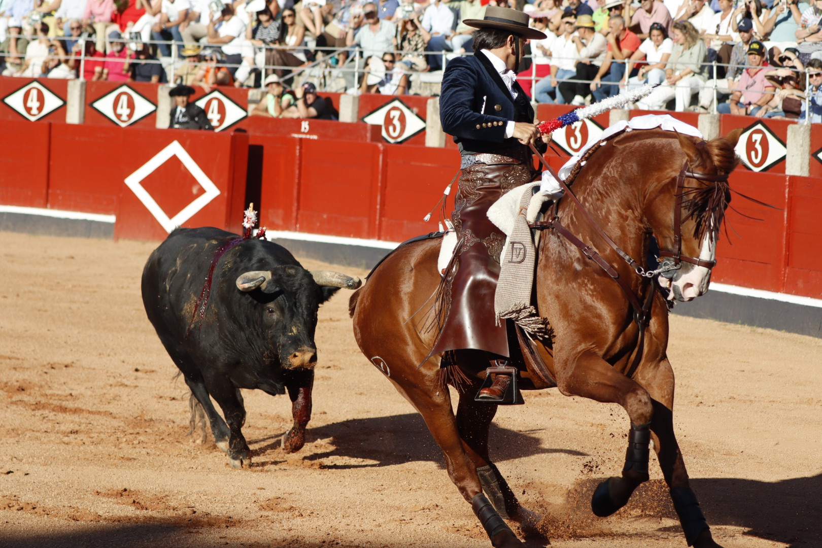 Diego Ventura con 'Quirico' en Salamanca | Asier Galache