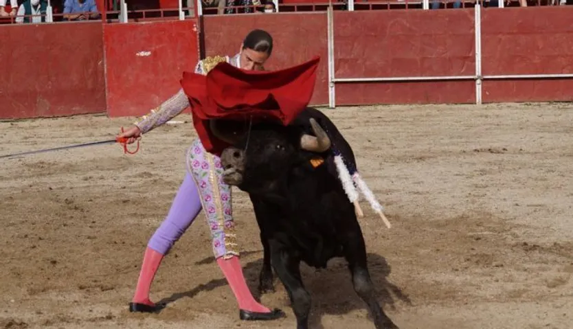 Novillada en Carrascal de Barregas