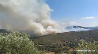Incendio Lagunilla (2)