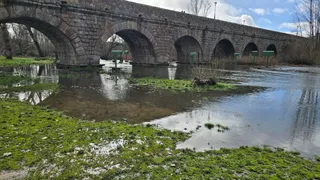 Crecida del Río Tormes