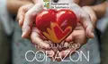 Voluntariado De Corazón. Ayuntamiento De Salamanca