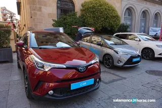 Coches electricos (24)