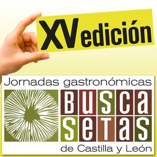 Buscasetas reúne en su XV edición a 27 restaurantes