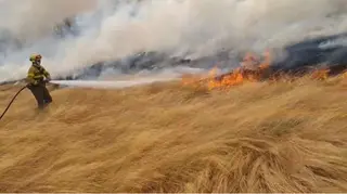Incendio de nivel 1 en Moronta