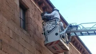 Los bomberos retiran otro enjambre de abejas en la ciudad
