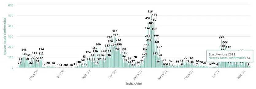 Casos 8 de septiembre