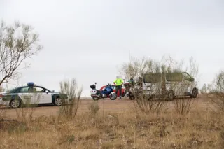 Una vaca se escapa de un matadero en Florida de Liébana