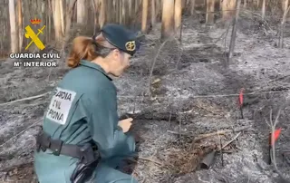 Investigan el incendio producido en el Bierzo | Subdelegación del Gobierno
