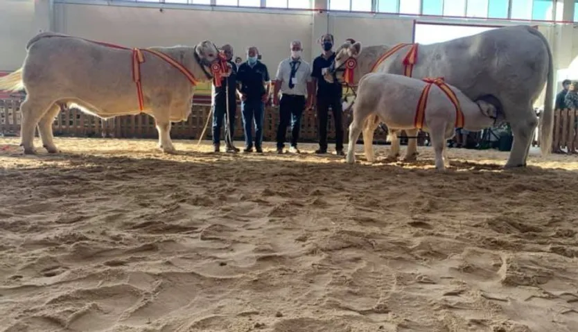 Idílica y Gabacha campeonas charolesa 2021