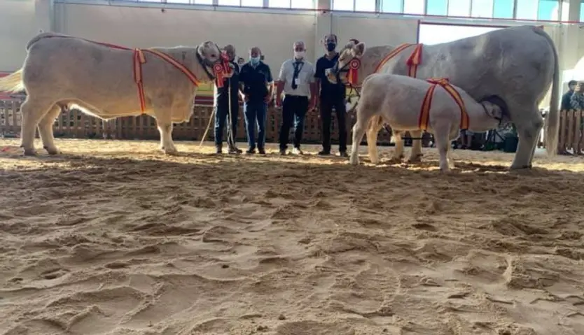 Idílica y Gabacha campeonas charolesa 2021