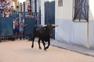 Encierro urbano en Calzada de Valdunciel