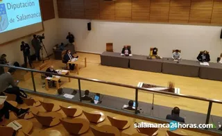 Pleno dipu