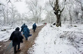 La nieve hace acto de presencia en el sur de la provincia de Salamanca | José Vicente / ICAL