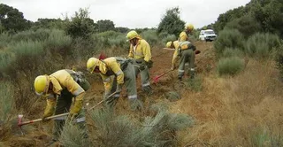 Incendio en Saelices el Chico