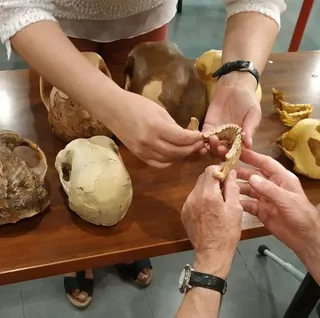 Investigadores de las universidades de Salamanca y Valladolid impulsan la divulgación inclusiva del patrimonio arqueológico con réplicas en 3D