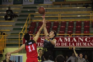 YAÑEZ LA FLECHA