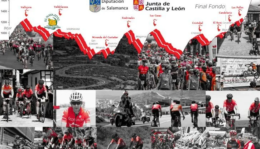 cartel 22
