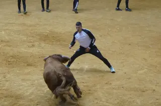 Encierro Con Novillos Y Capea En Alba De Tormes. Fotos Juanes 