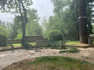 Caída de árboles debido a la tormenta de este miércoles en el Paseo de San Vicente. Foto S24H