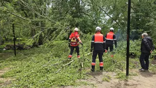 Cae un árbol de grandes dimensiones en la ribera de La Aldehuela junto a la zona de chiringuitos. Fotos Andrea M. (1)