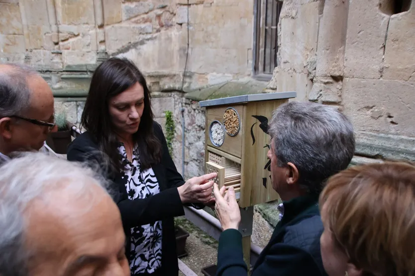 “El patio de la Rectoral: Vida silvestre en la Casa-Museo Unamuno”