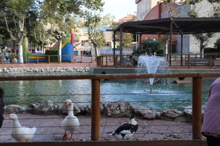 Parque de la Alamedilla