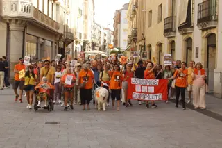 Manifestación colonias de gatos 
