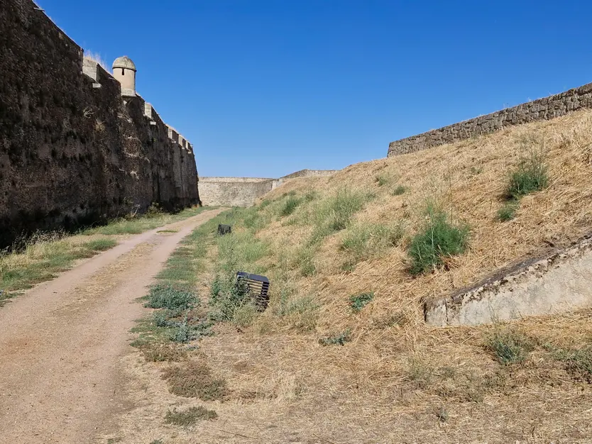 Residuos en la zona de la muralla