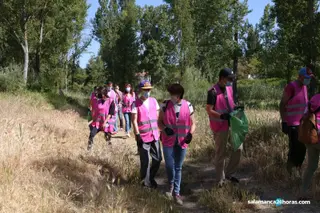 Voluntariado ambiental