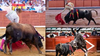 Lea Vicens, Raquel Martín y Olga Casado, la terna elegida para actuar este 12 de septiembre de 2025 en La Glorieta | Salamanca24horas