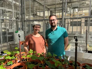 Silvia Manrique Urpi y Alejandro Torrado Maya en los invernaderos del IRNASA CSIC