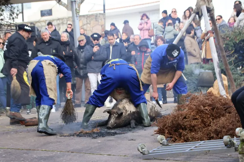 Guijuelo Matanza Típica