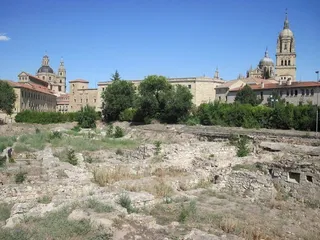 Ciudadanos del Patrimonio insta a las administraciones a ejecutar las medidas de seguridad y de conservación para El Botánico de forma subsidiaria