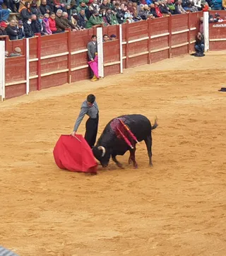 Derechazo de Pérez Pinto