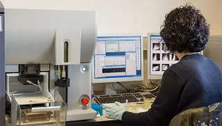 Investigadora USAL