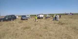Operativo de la recogida de los buitres envenenados en Monterrubio