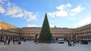 El gran árbol de Navidad ya luce en todo su esplendor en el centro de la Plaza Mayor | Andrea Mateos
