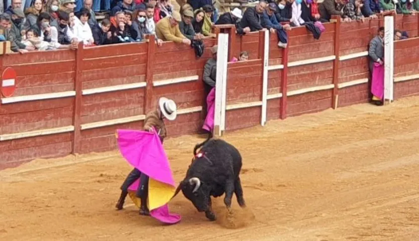José Garrido