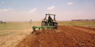 Siembra directa