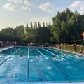 Campeonato de Natación Alba de Tormes. 